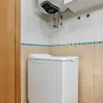 Palm Serenity פלאיה פראיסו